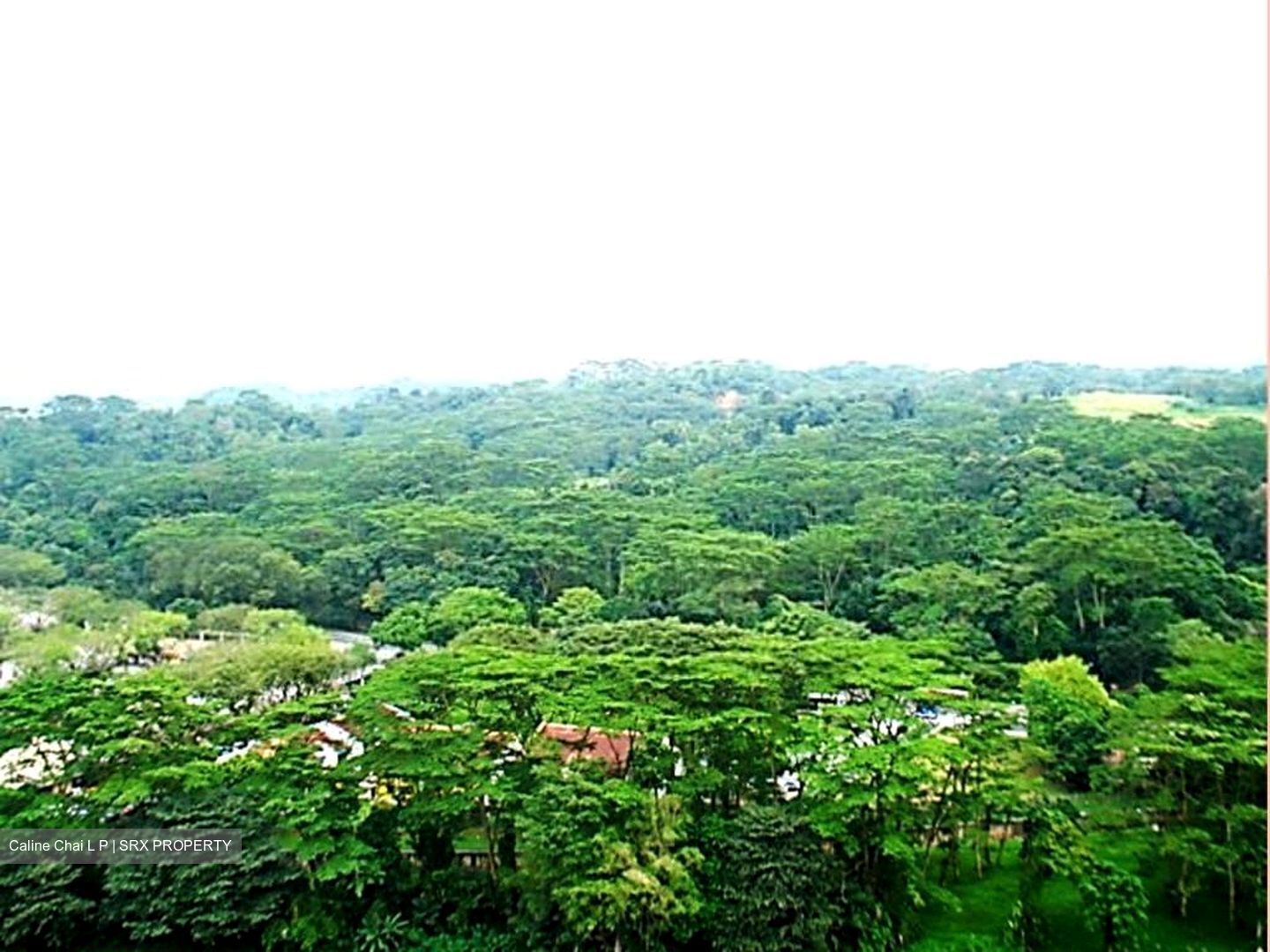 Yew Mei Green (D23), Condominium #308243731